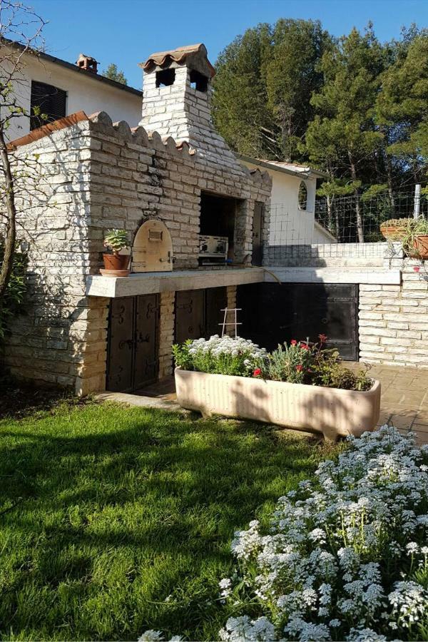 Apartman Alberta Porec Bagian luar foto