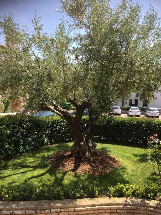 Apartman Alberta Porec Bagian luar foto