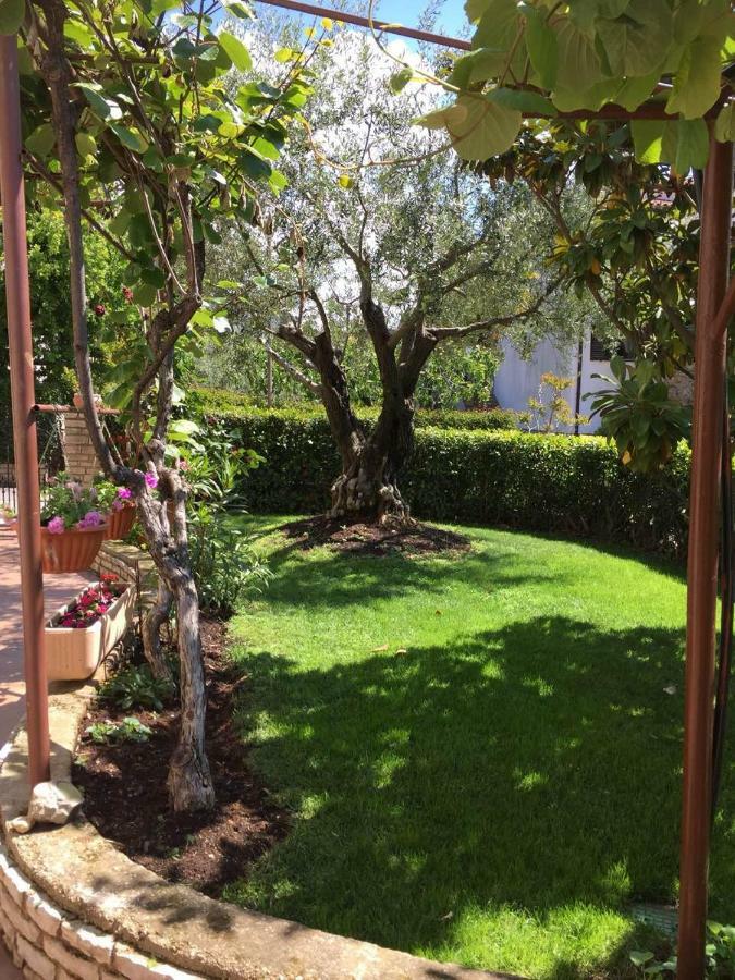 Apartman Alberta Porec Bagian luar foto