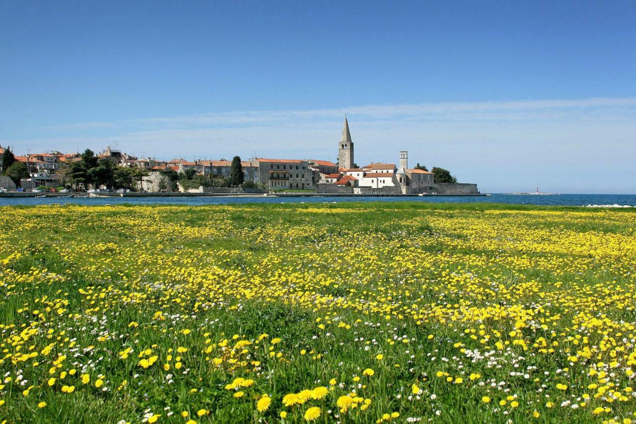 Apartman Alberta Porec Bagian luar foto